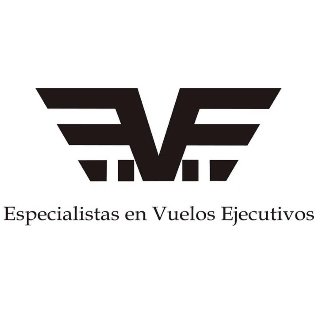 EVE Especialistas en Vuelos Ejecutivos